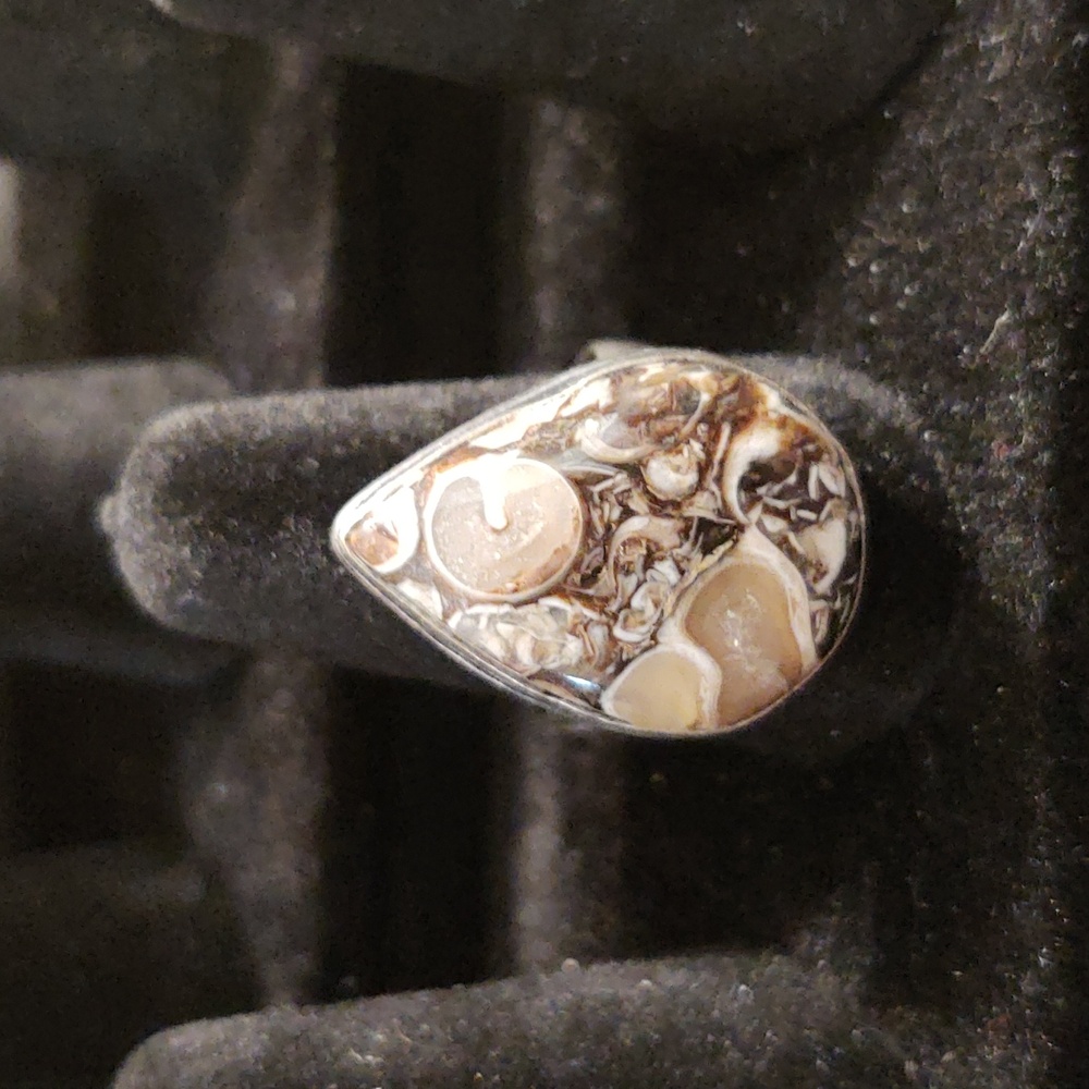 Turtella fossil teardrop ring, size 8.75